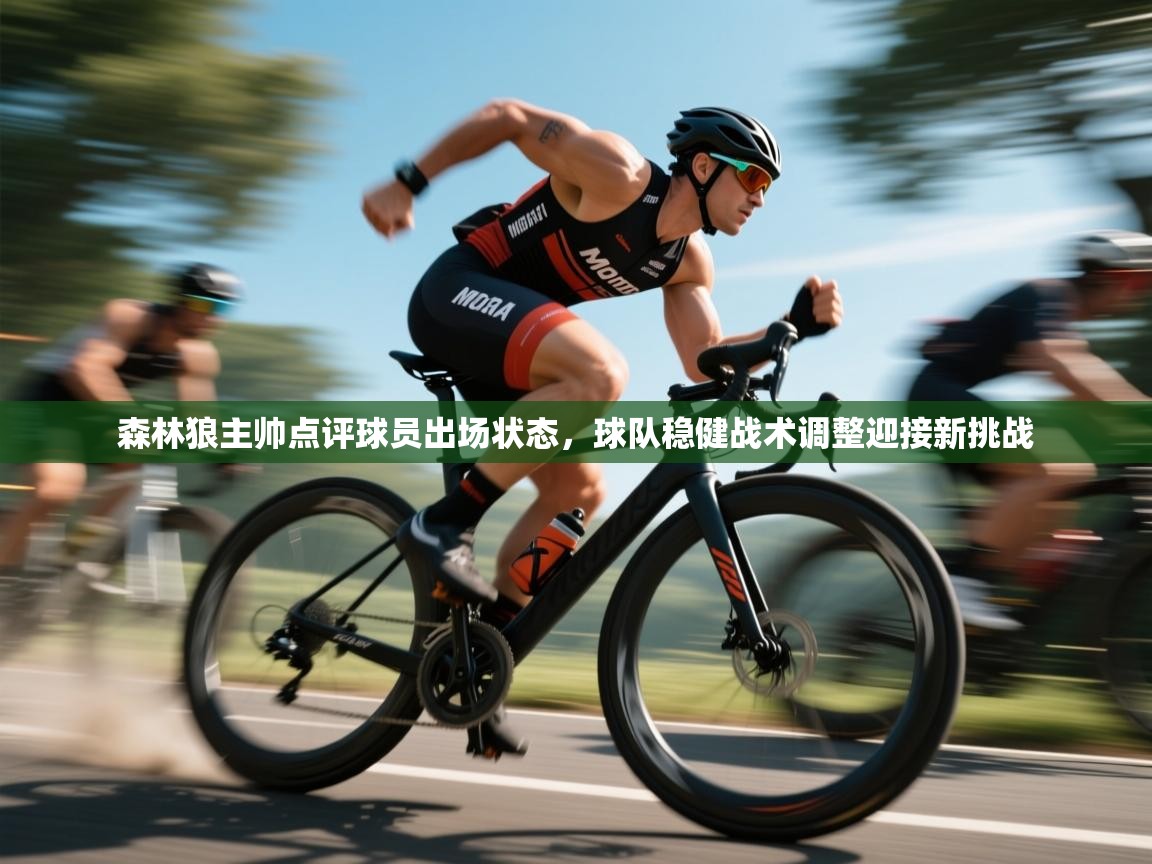 森林狼主帅点评球员出场状态,球队稳健战术调整迎接新挑战 第1张