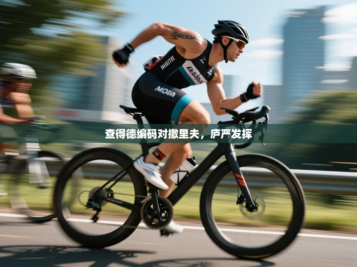 查得德编码对撒里夫，庐严发挥  第1张