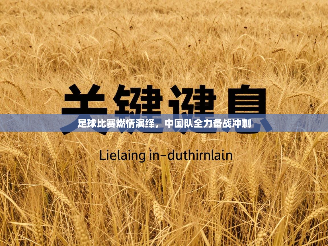 足球比赛燃情演绎，中国队全力备战冲刺  第2张