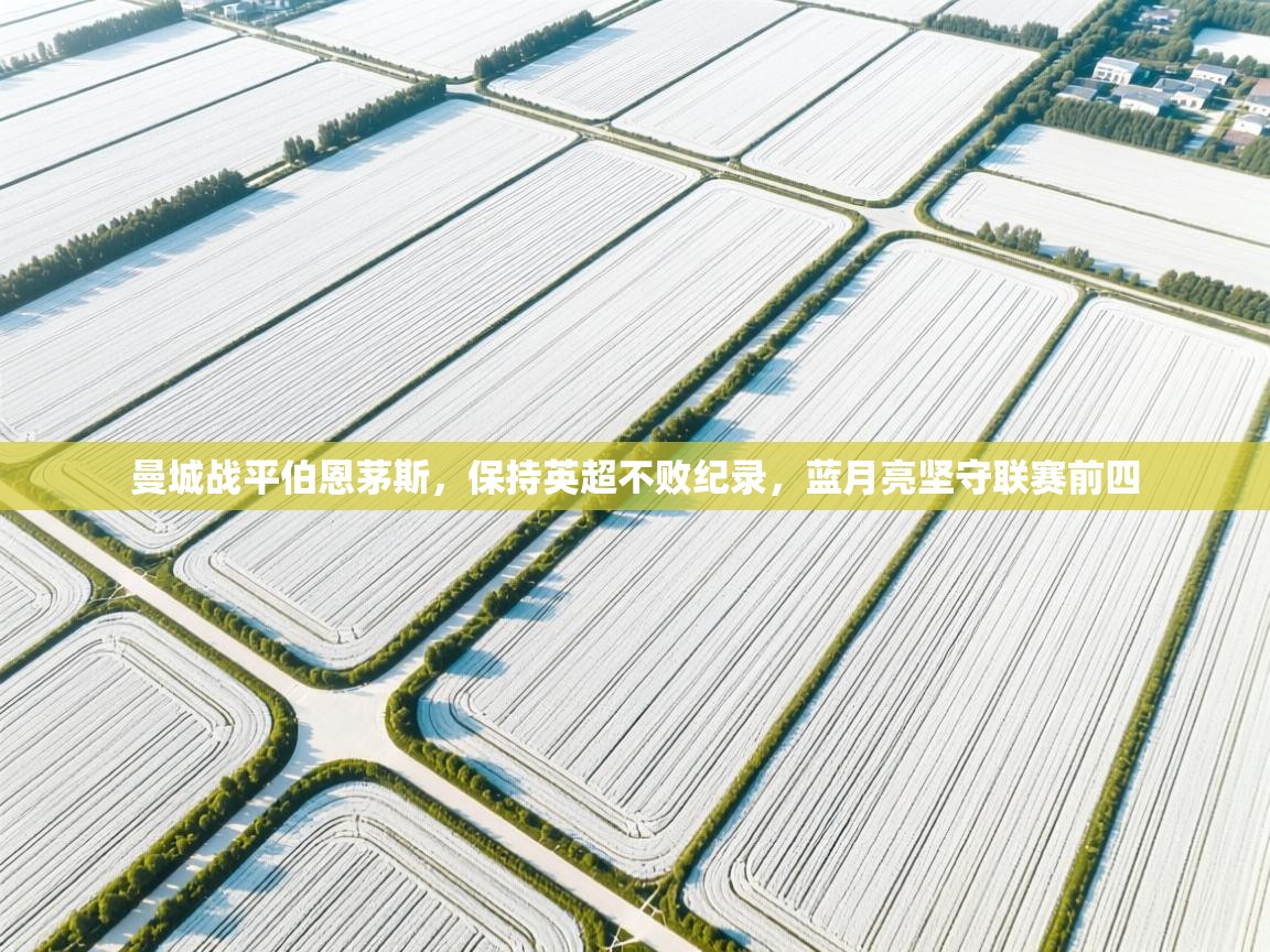 曼城战平伯恩茅斯，保持英超不败纪录，蓝月亮坚守联赛前四  第1张