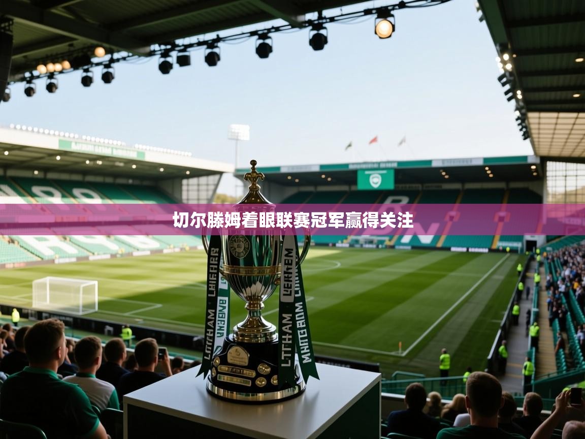 切尔滕姆着眼联赛冠军赢得关注 第2张